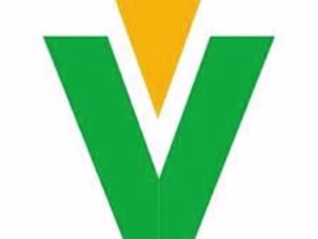 Cover image for Professional Catalog Translation for VTEKE Electric