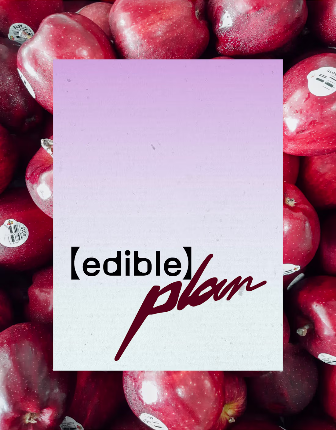 Cover image for Edible Plan Rebranding Project