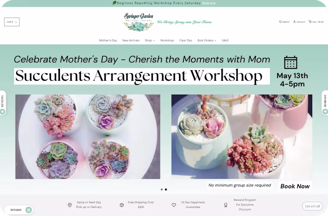 Cover image for SPRINGER GARDEN