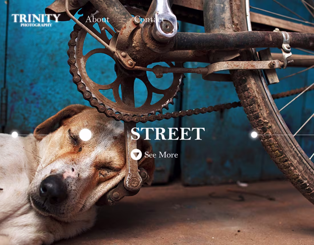 Cover image for Trinity Photography - Website Design :: Behance