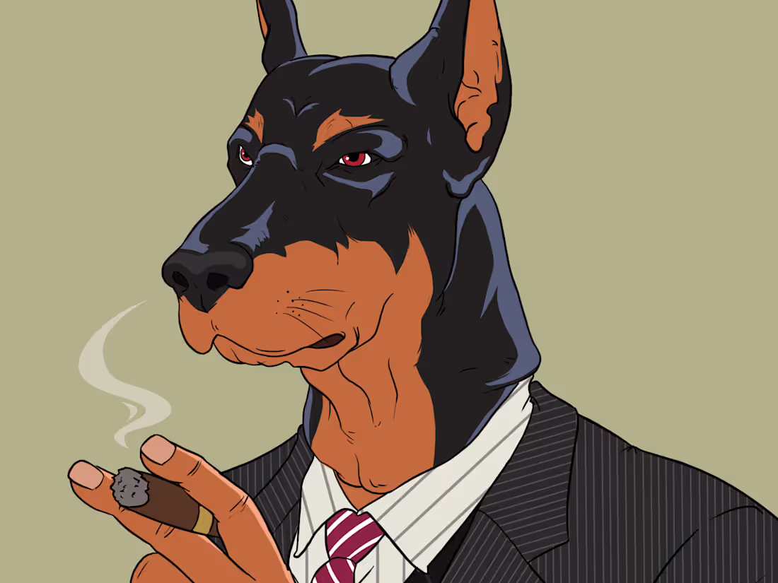 Cover image for Fullstack developer | Frontend Desing + Backend Implementation