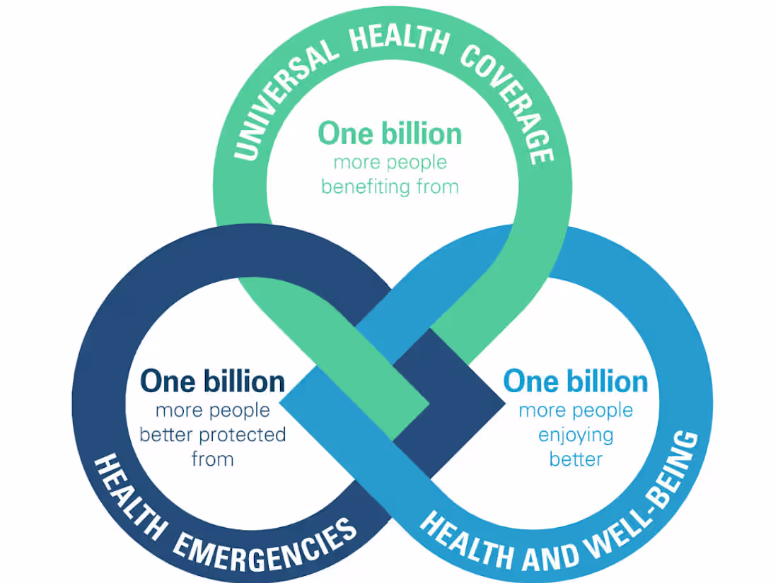 Cover image for Data engineering & R Development at the WHO