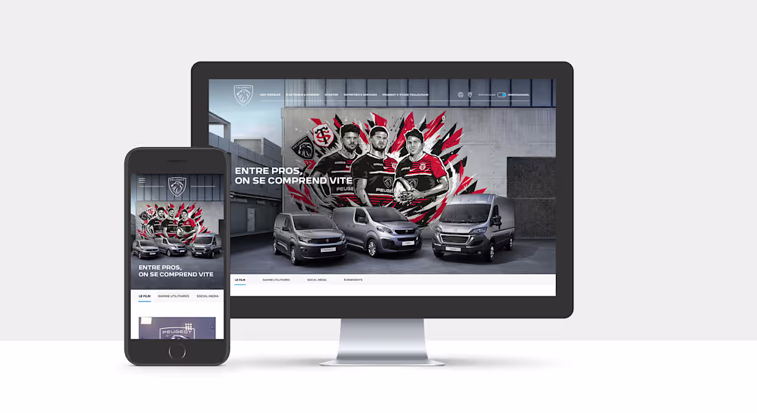 Cover image for Le Temps Des Pros