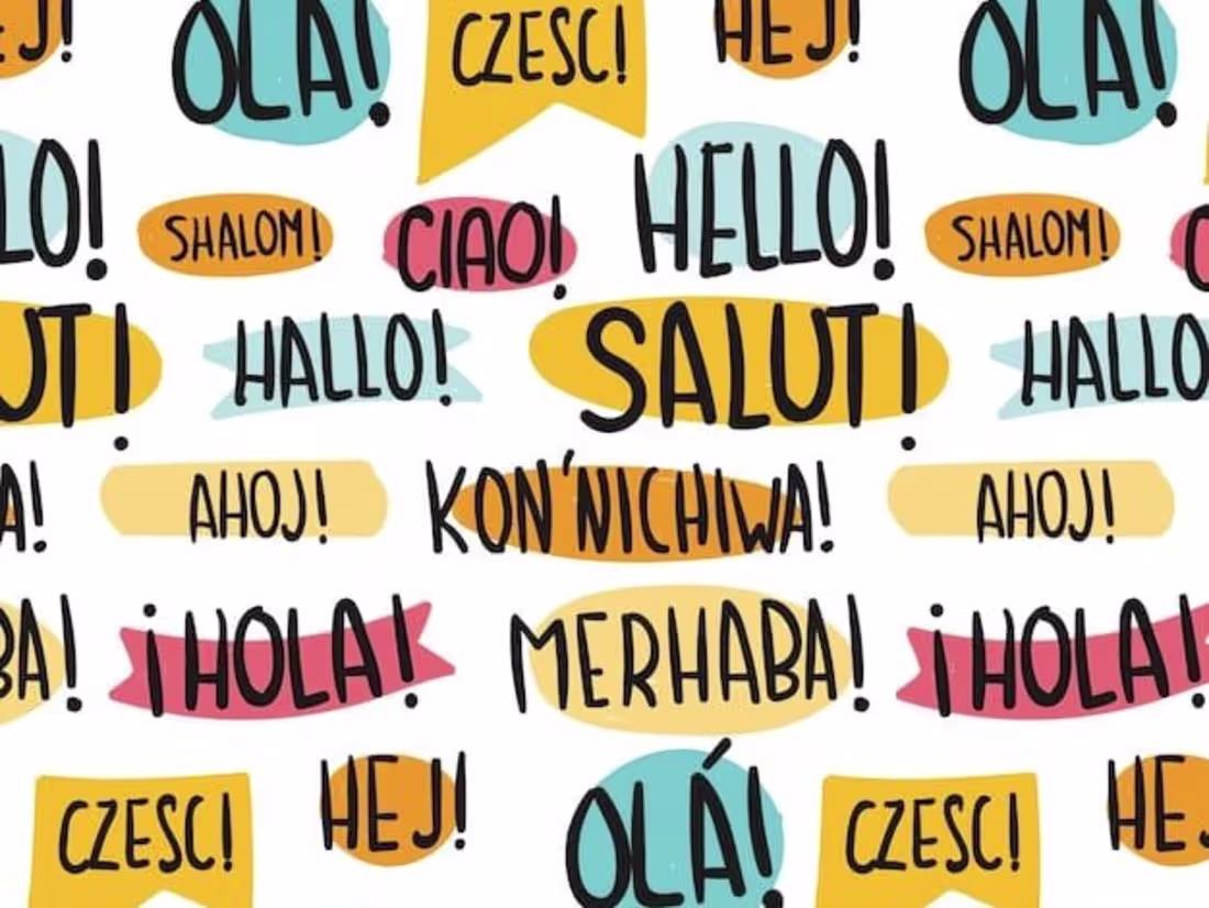 Cover image for translator