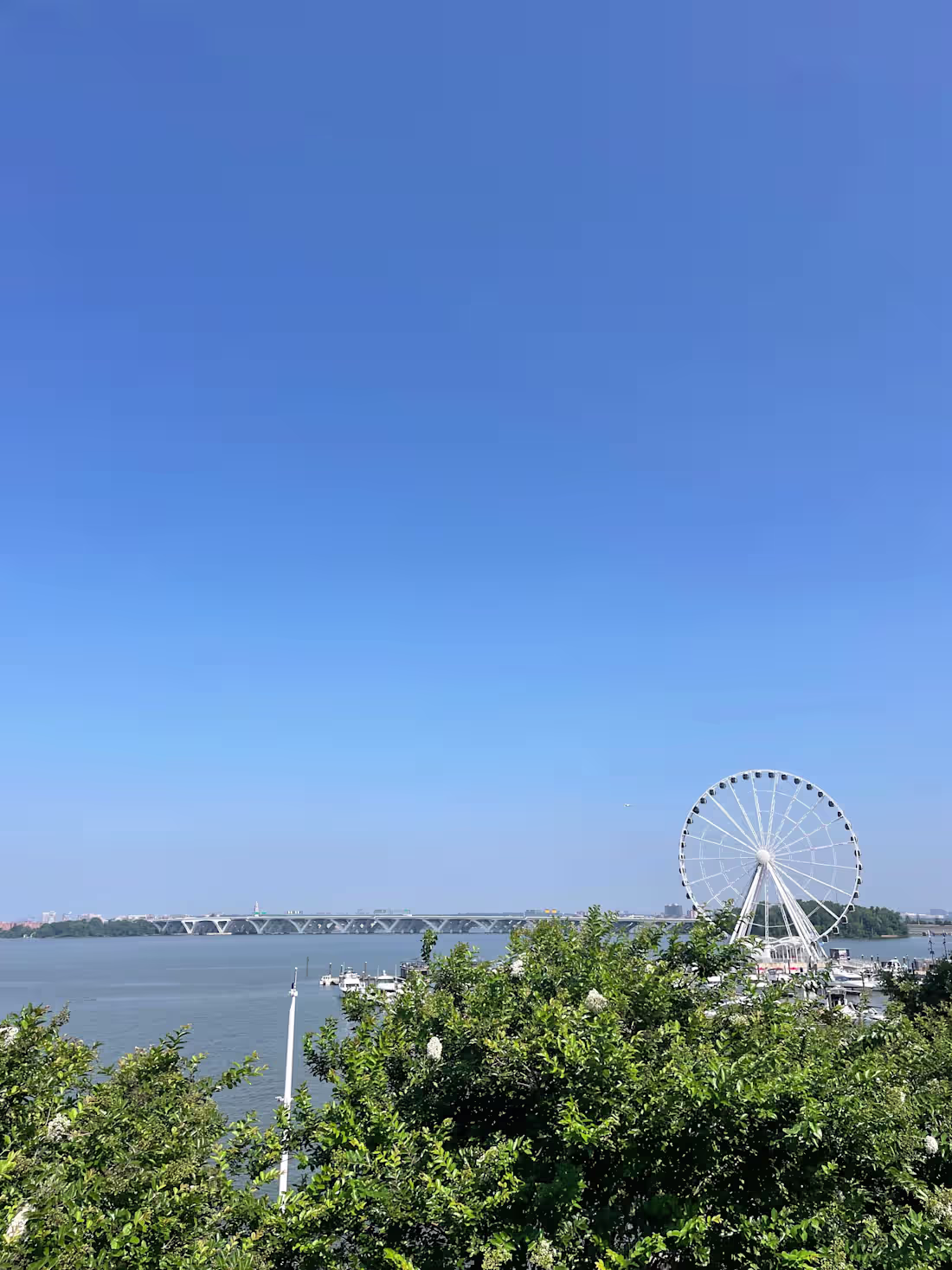 Cover image for Embracing Growth Beyond Comfort