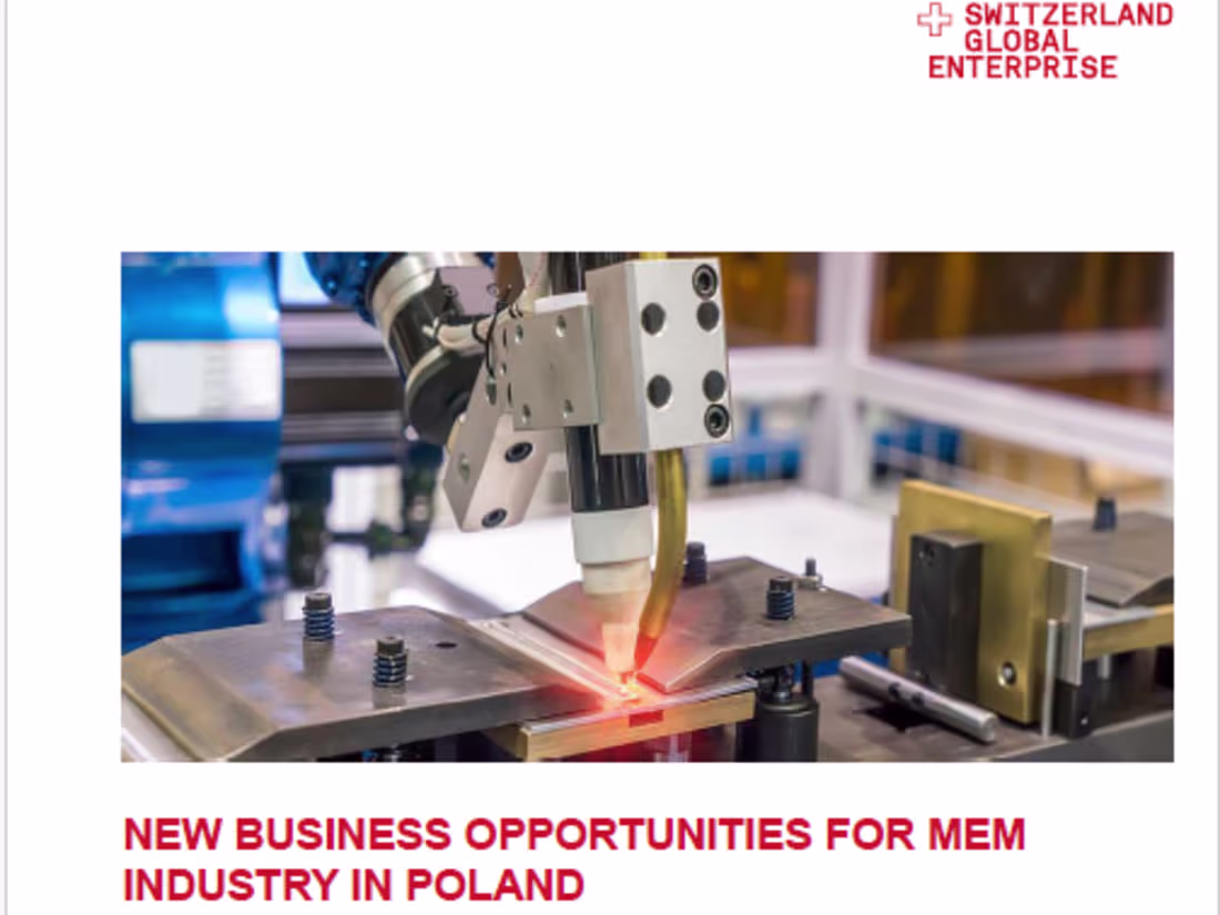 Cover image for New Business Opportunities for MEM Industry in Poland