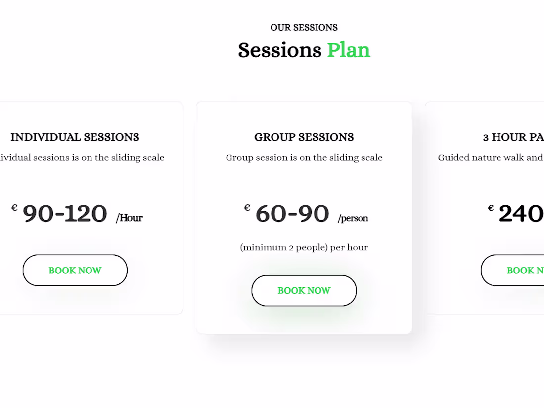 Cover image for A THERAPY WEBSITE