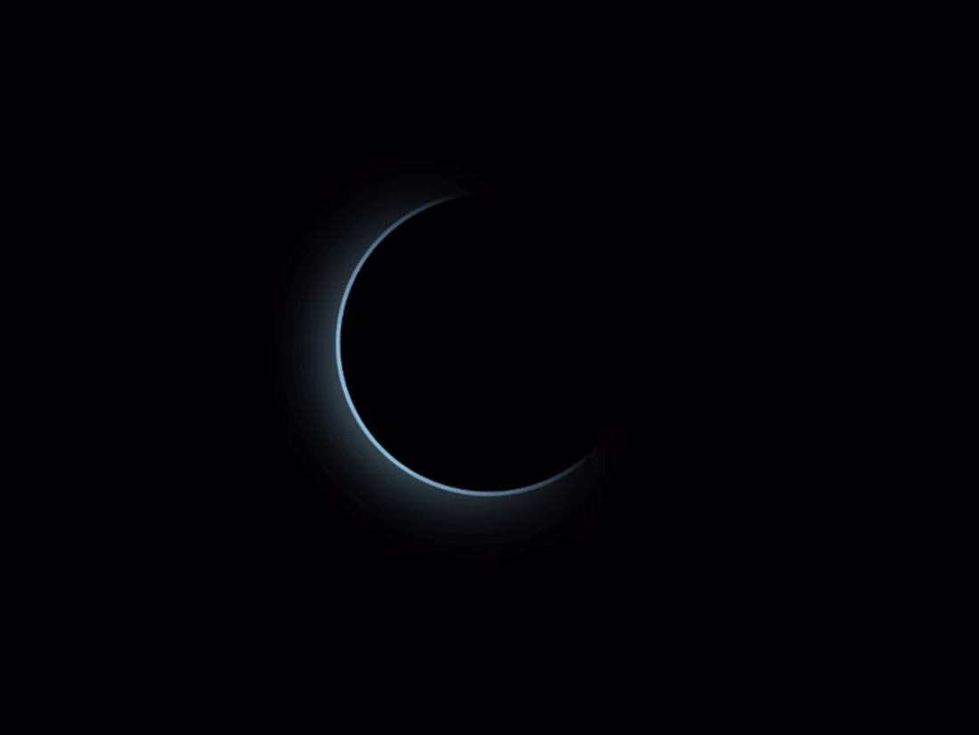 Cover image for Portfolio