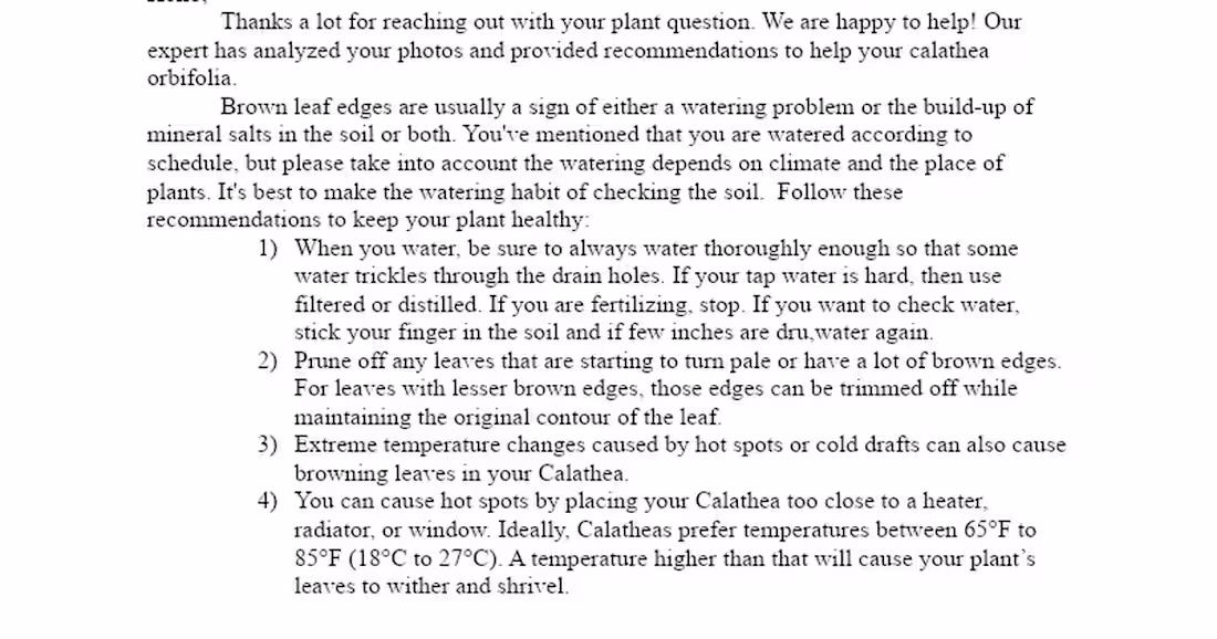 Cover image for  Care Guide for PlantIN