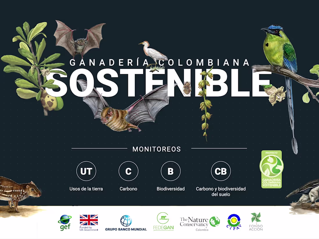 Cover image for Ganadería Colombiana Sostenible (2018 - 2020)