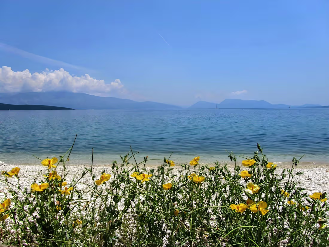 Cover image for Retreat Holiday Website