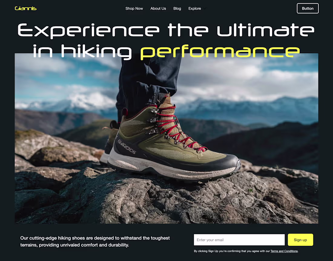 Cover image for Ecommerce Web Design Case Study