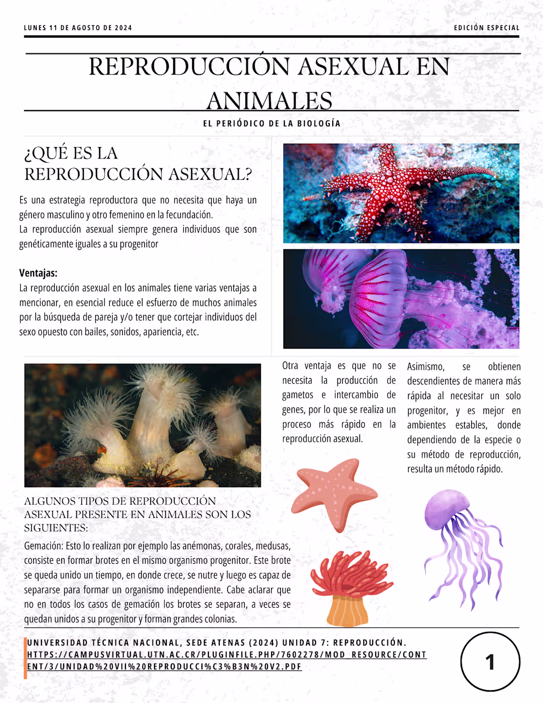 Cover image for Infographics