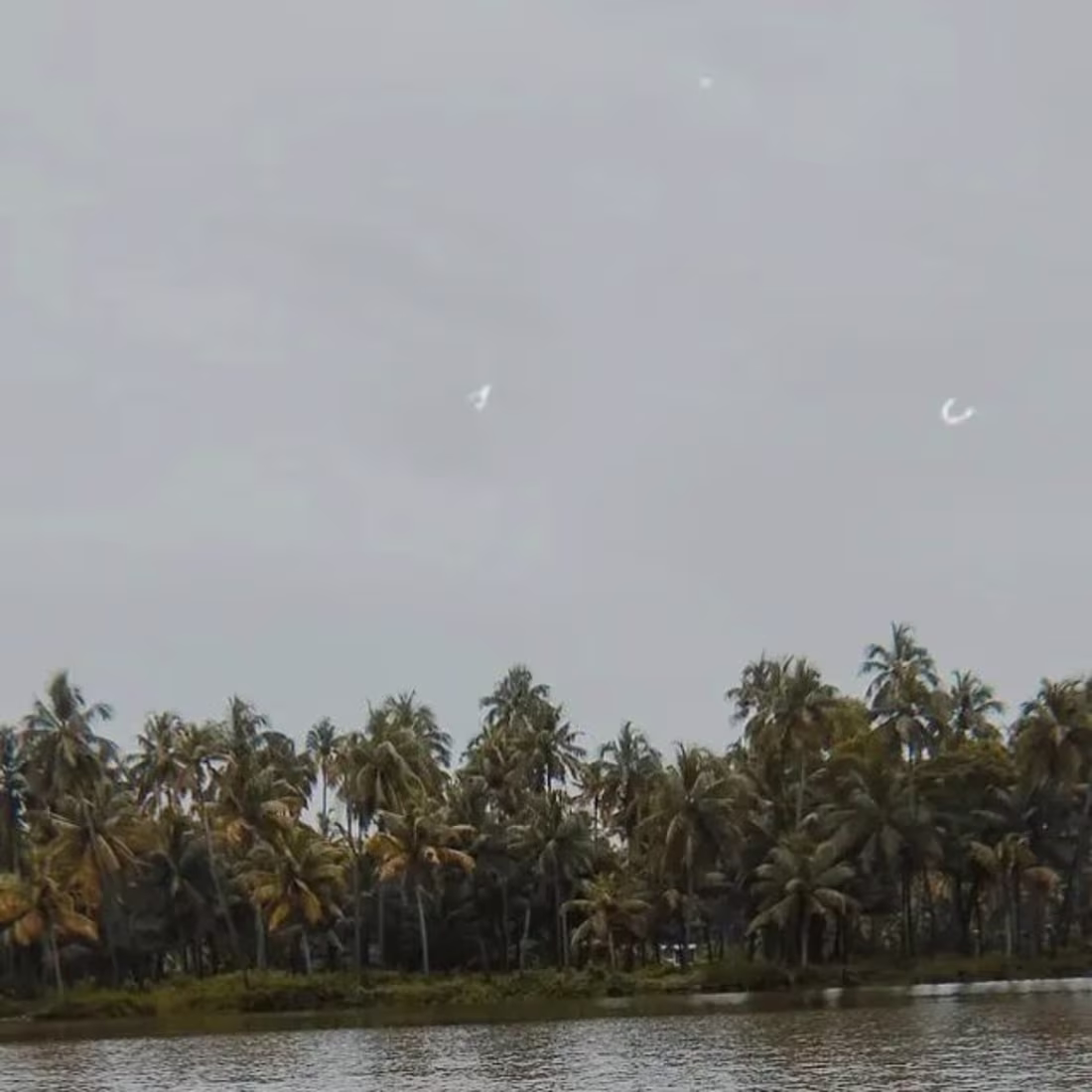 Cover image for FOCUS