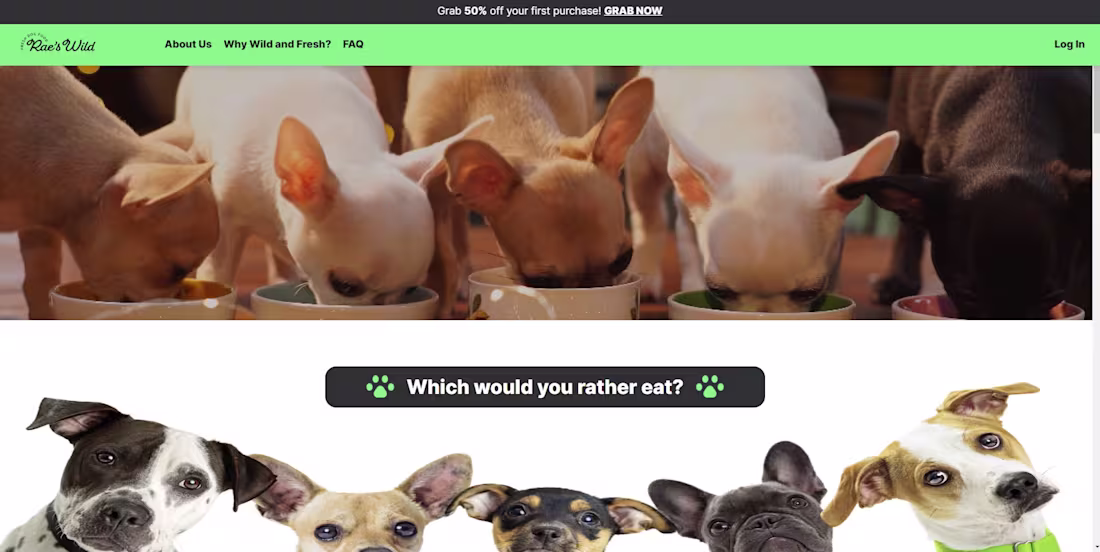 Cover image for RaesWild