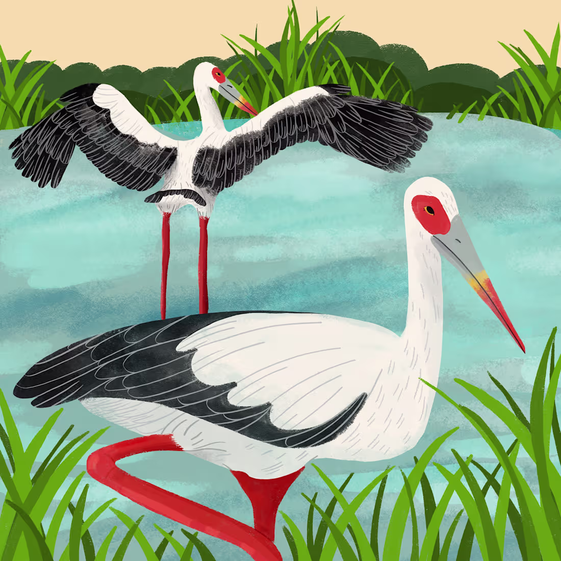 Cover image for Animals | Flowers Illustration