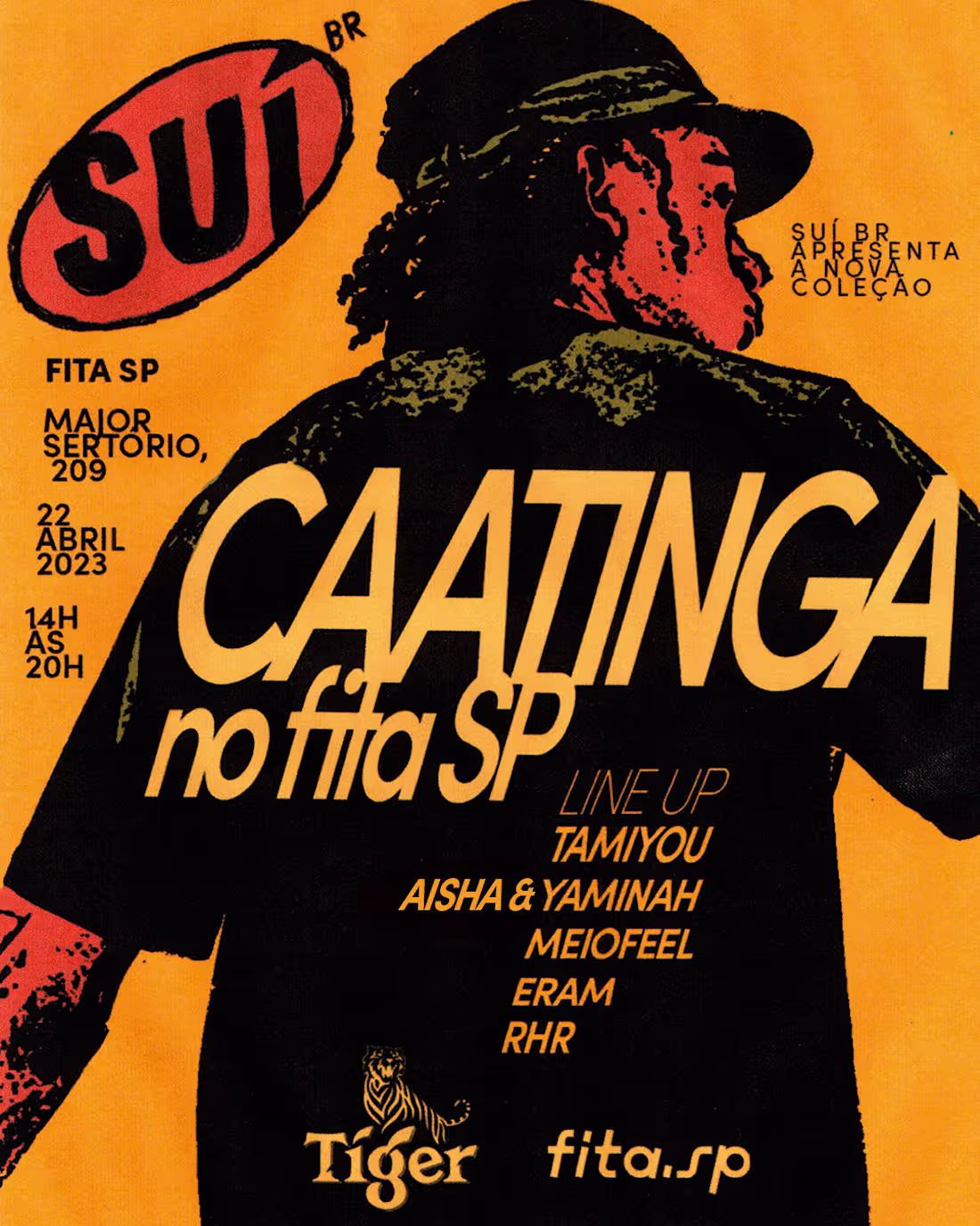 Cover image for Branding