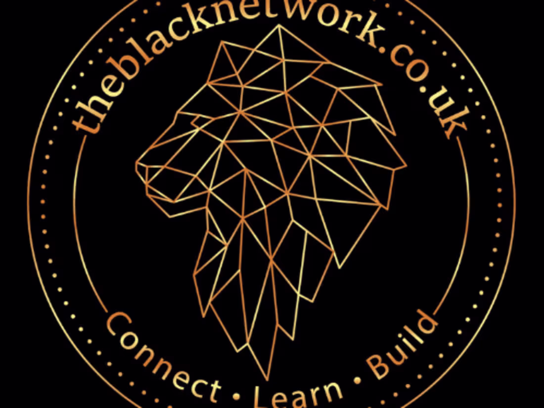 Cover image for theblacknetwork.co.uk