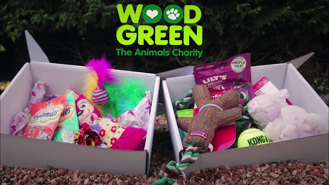 Cover image for Product promotion and Website banner video for Wood Green