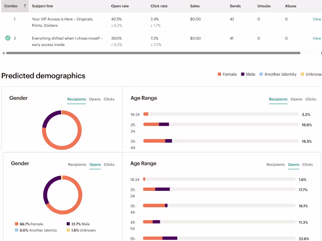 Cover image for Email A/B Testing & Analytics Reporting