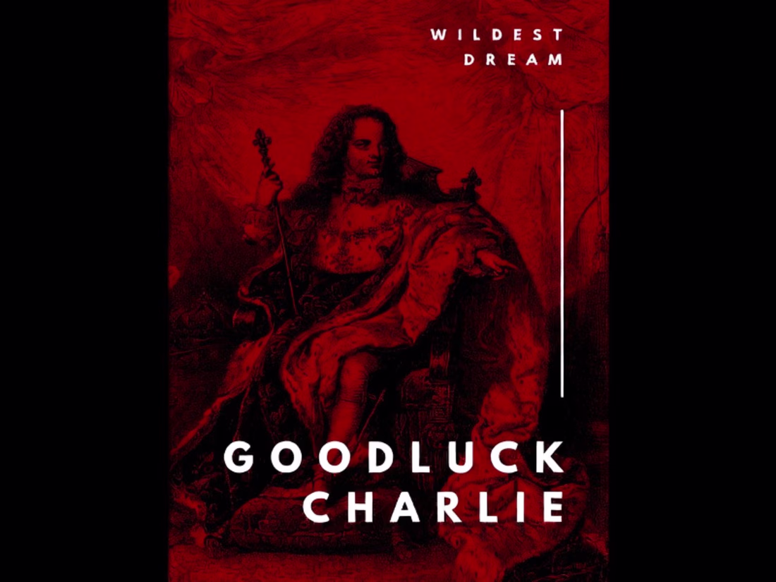 Cover image for The story of the Ducan's