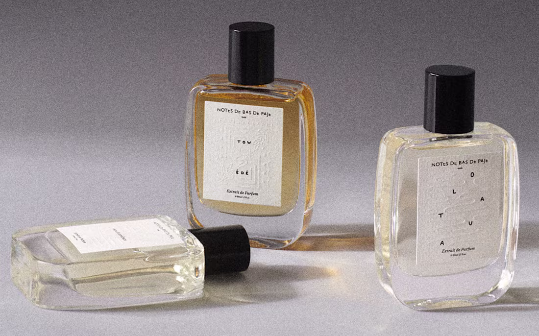 Cover image for Notes de Bas de Paje