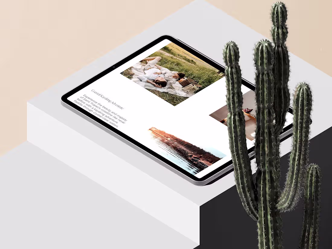 Cover image for Custom Webflow Website Development