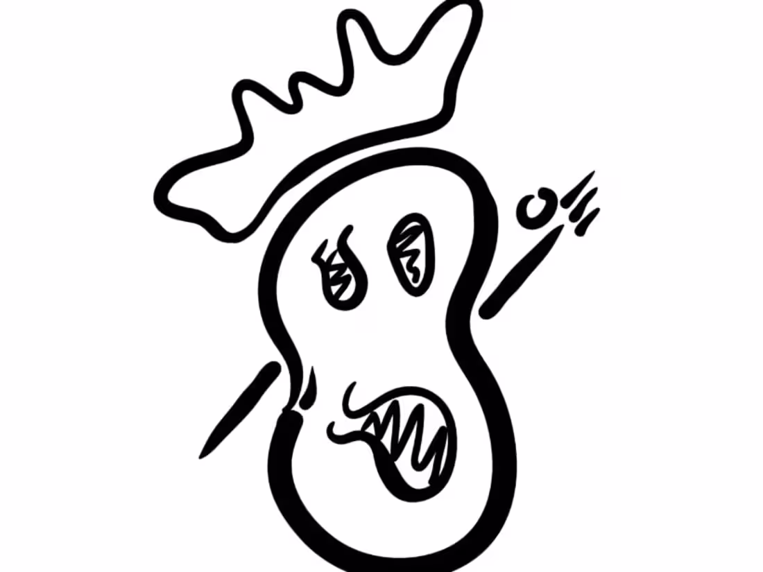 Cover image for Copy Writing