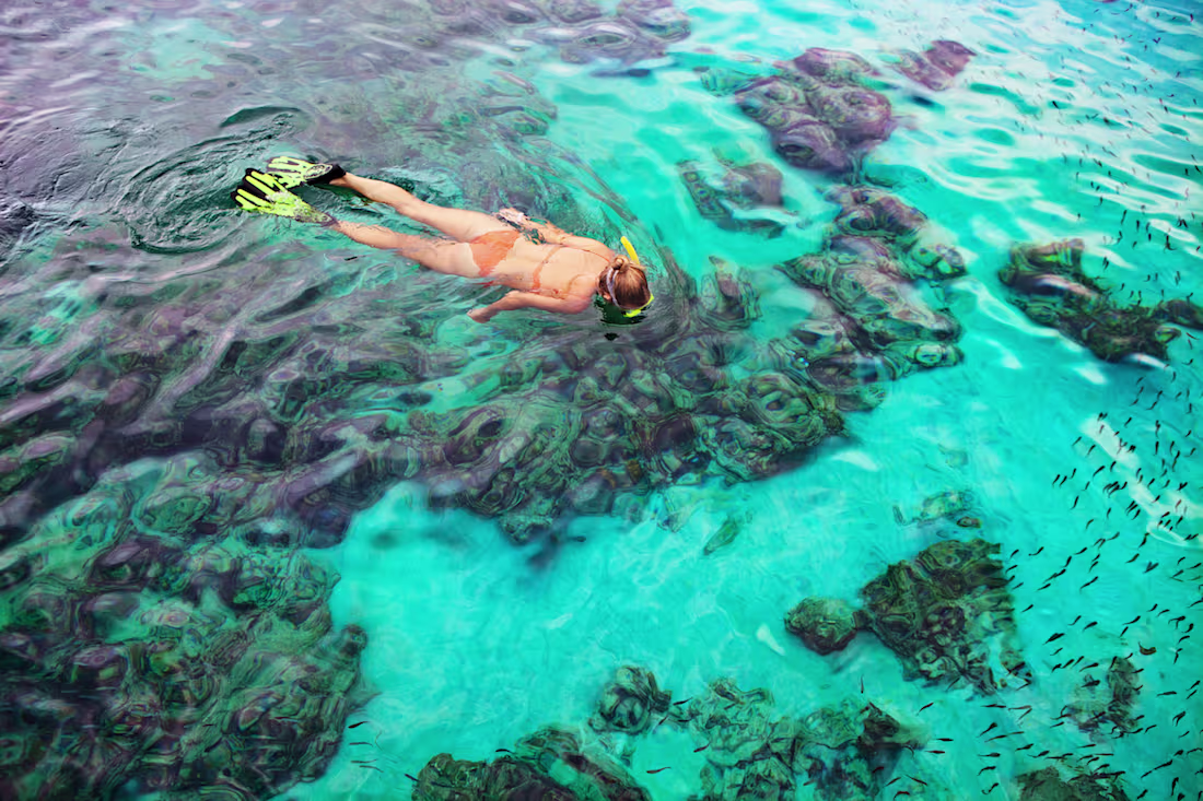 Cover image for The 5 Best Snorkeling Spots on Oʻahu in 2024