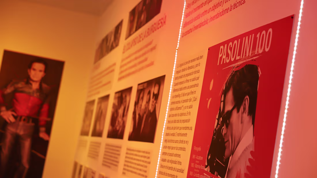 Cover image for Pasolini 100