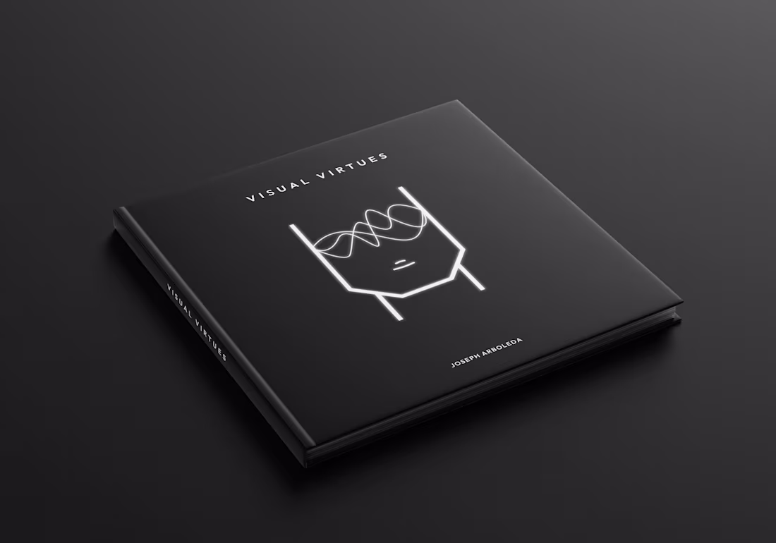 Cover image for Visual Virtues Book