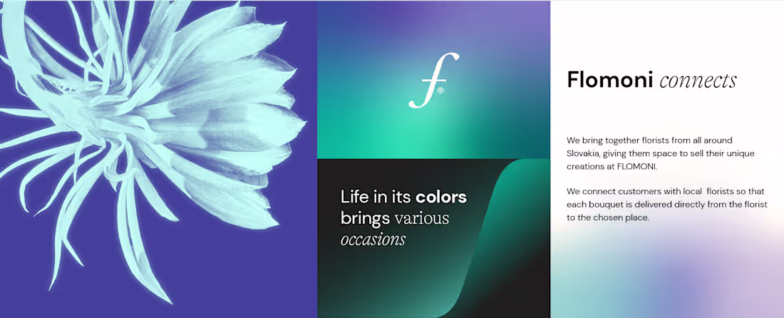 Cover image for FLOMONI - Visual Identity