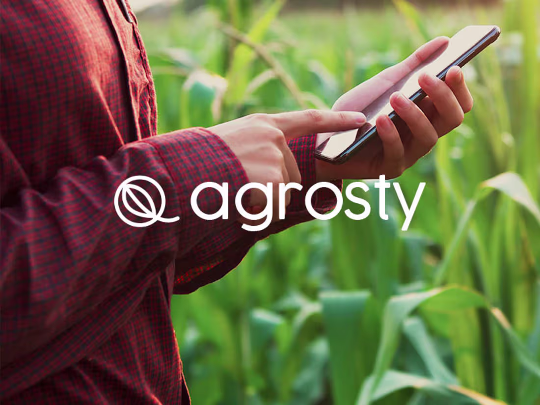 Cover image for Brand Identity