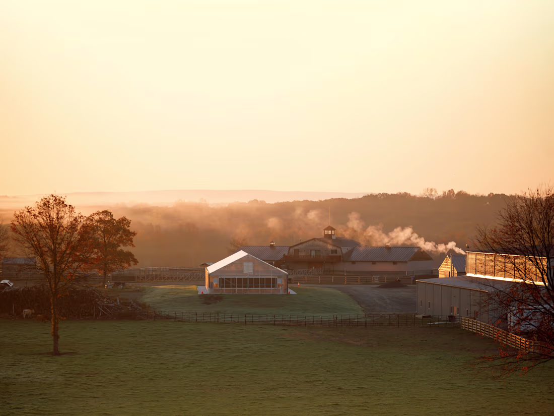 Cover image for FARMHOOD FIELDS — LEXI