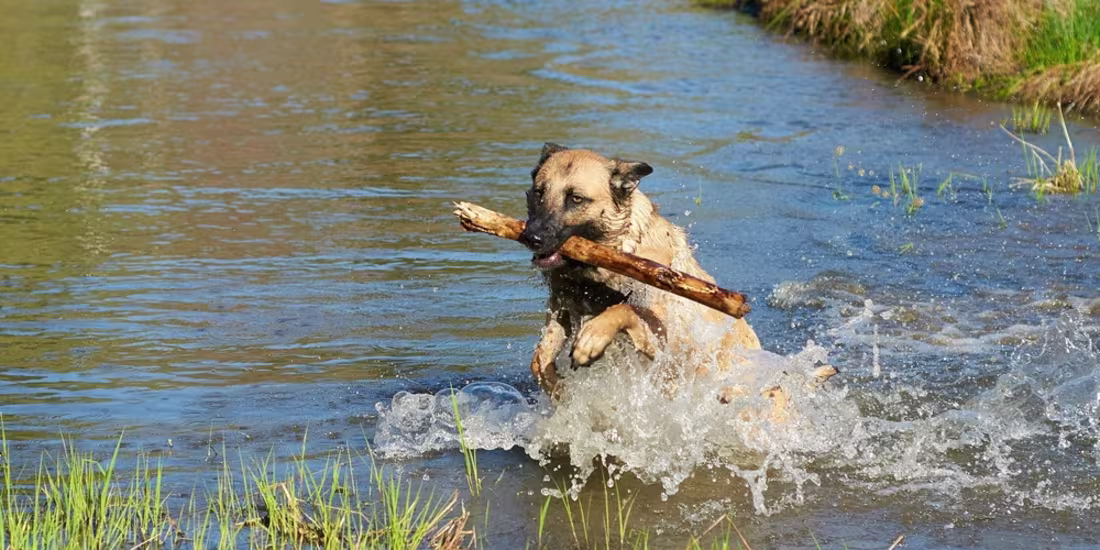 Cover image for How to Generate High-Quality Synthetic Data for Fine-Tuning Lar…