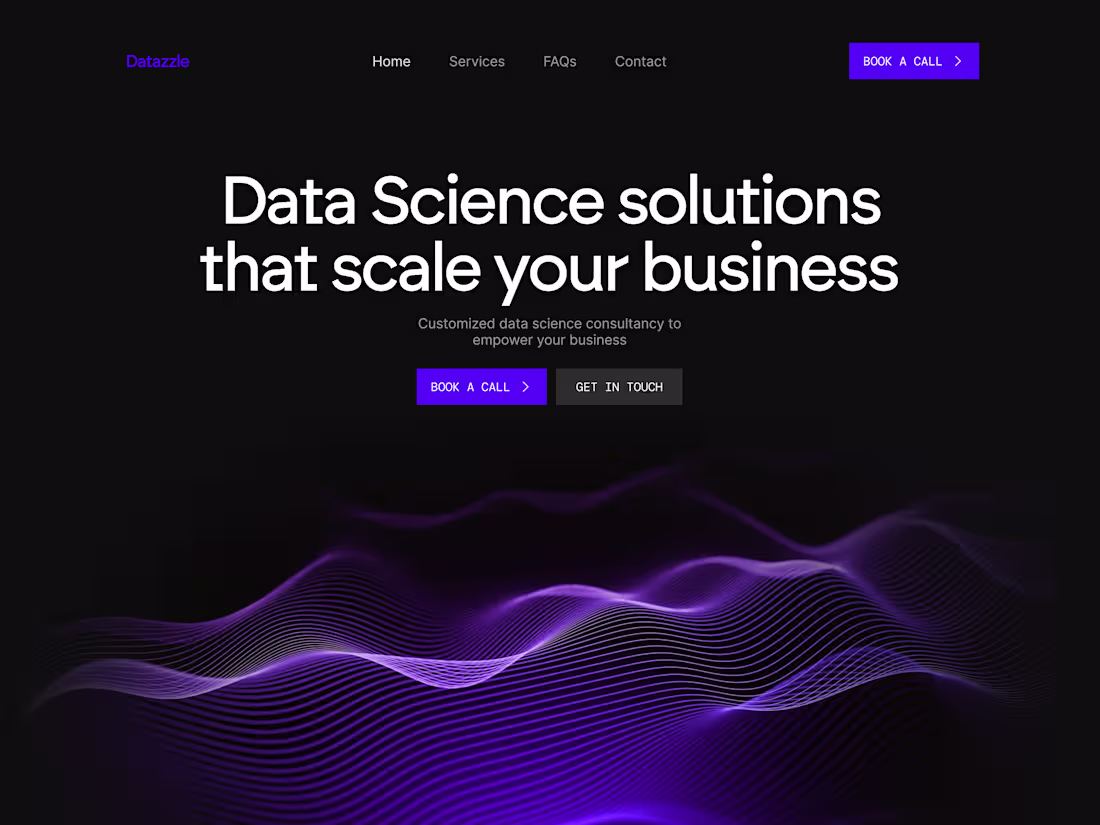 Cover image for Datazzle