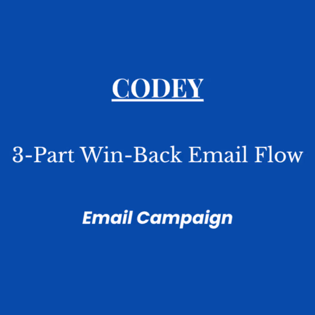 Cover image for Codey: Win-Back Email Flow