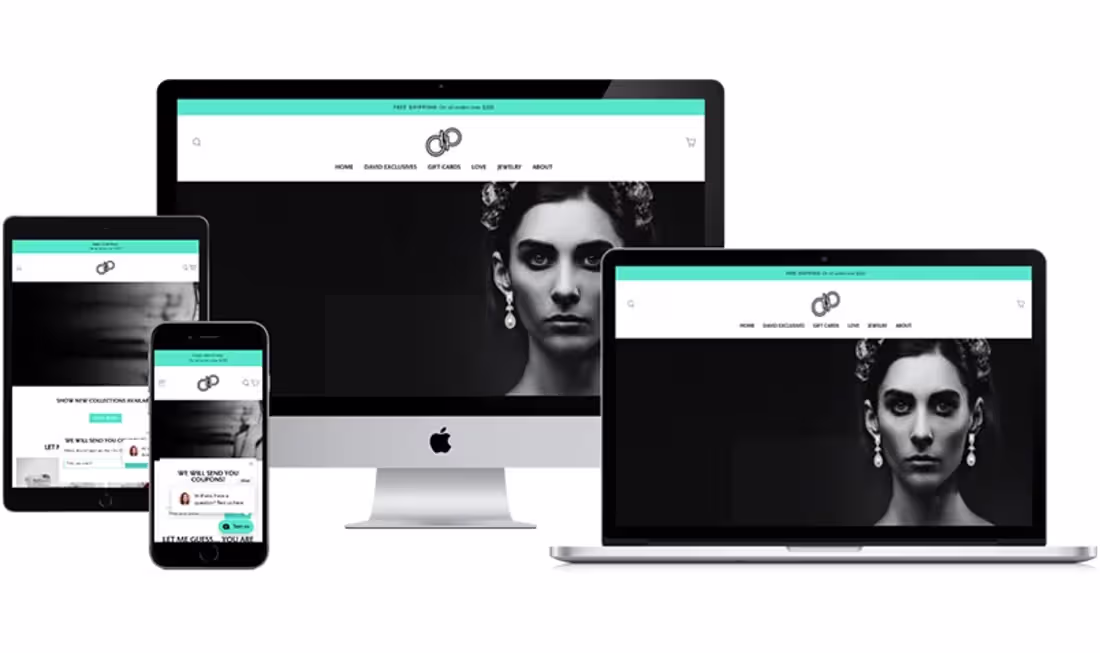 Cover image for Shopify Store Launch: DavidPiersonJewelr (http://DavidPierso...