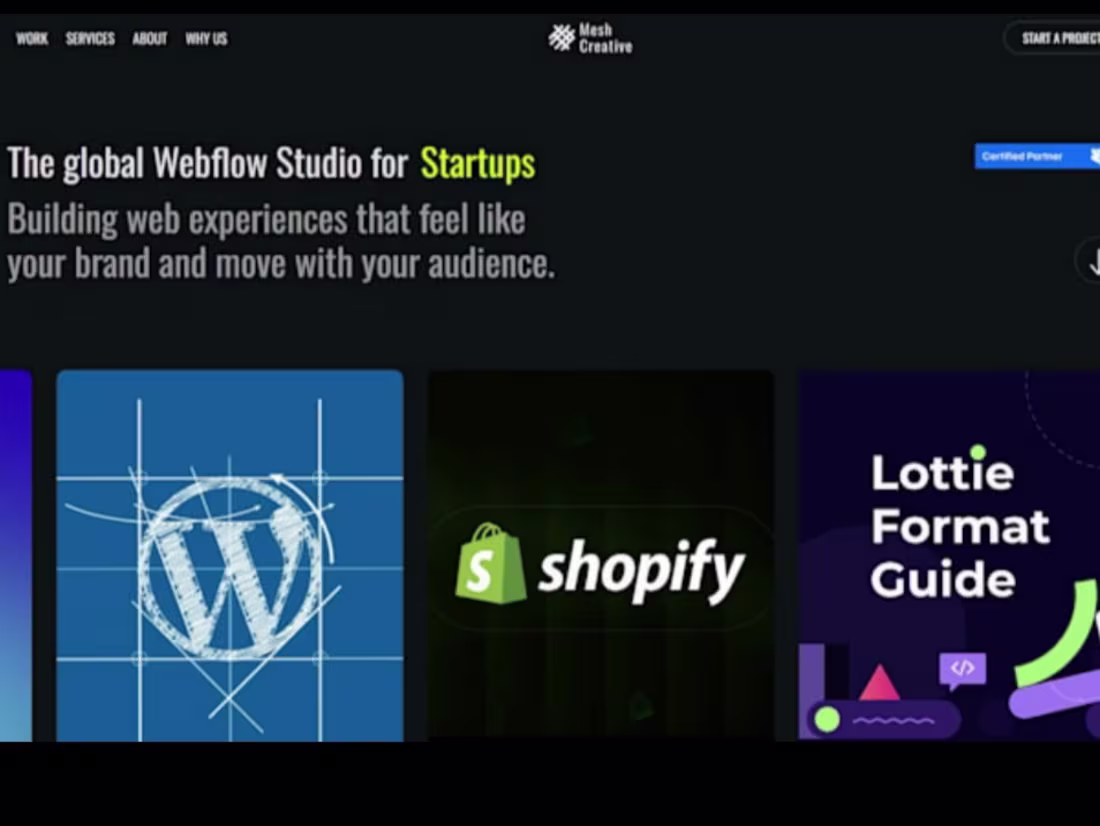 Cover image for Webflow development 