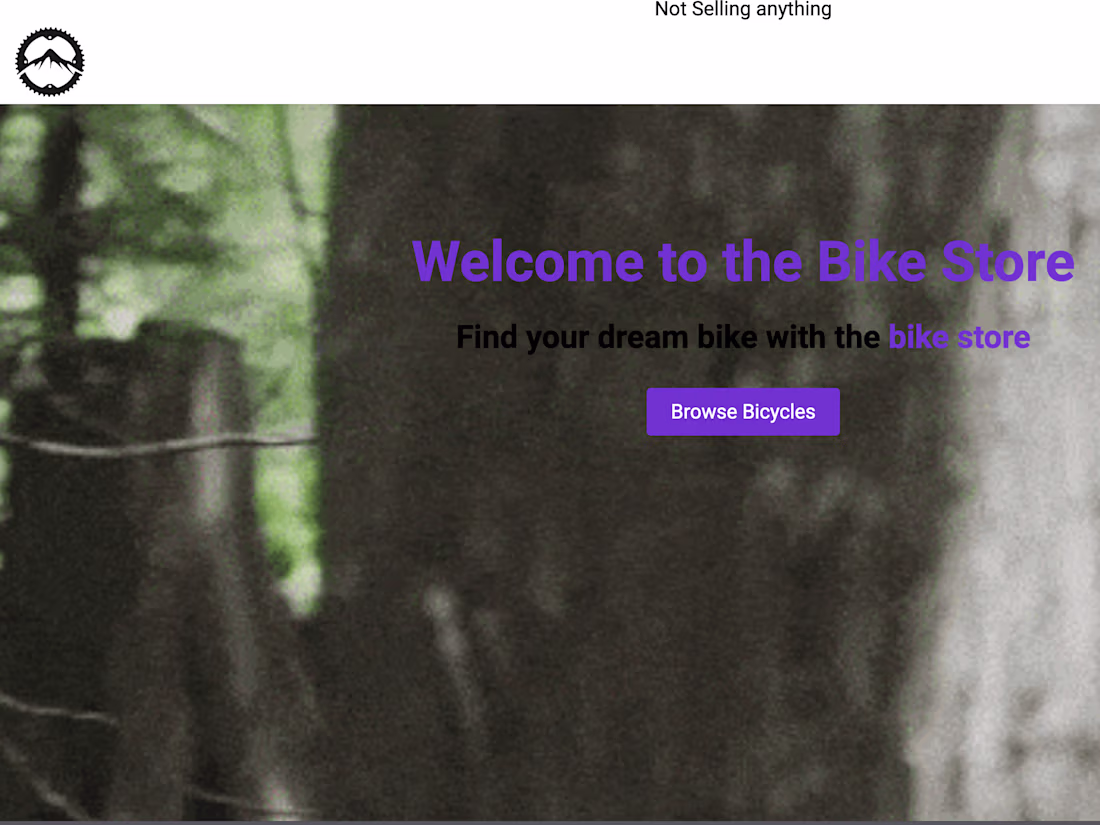Cover image for The Bike Store