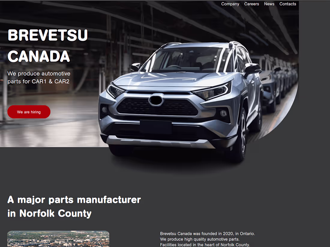 Cover image for Website Development