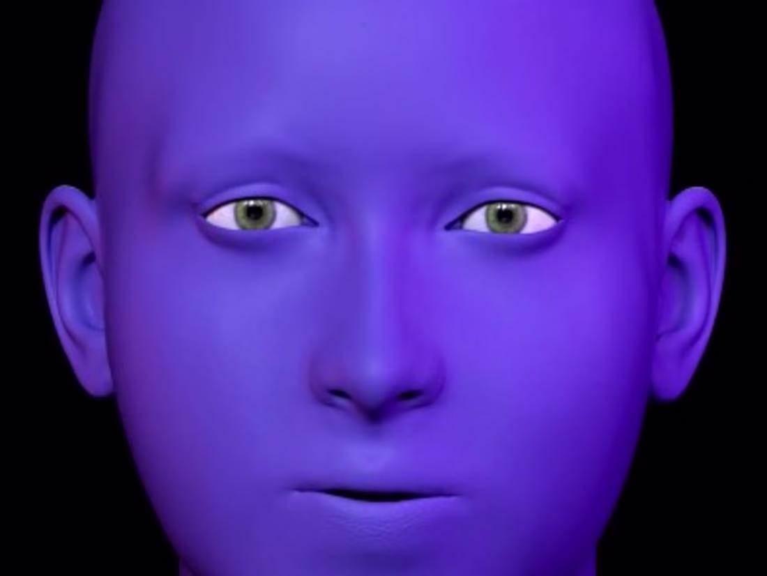 Cover image for "The Face"