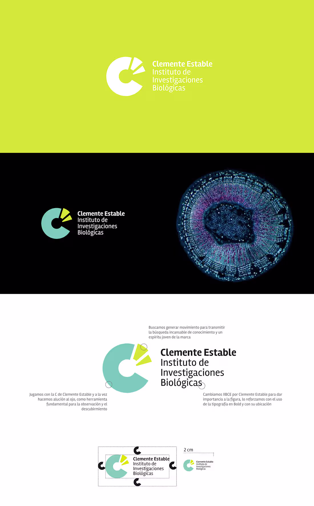 Cover image for Brand Design