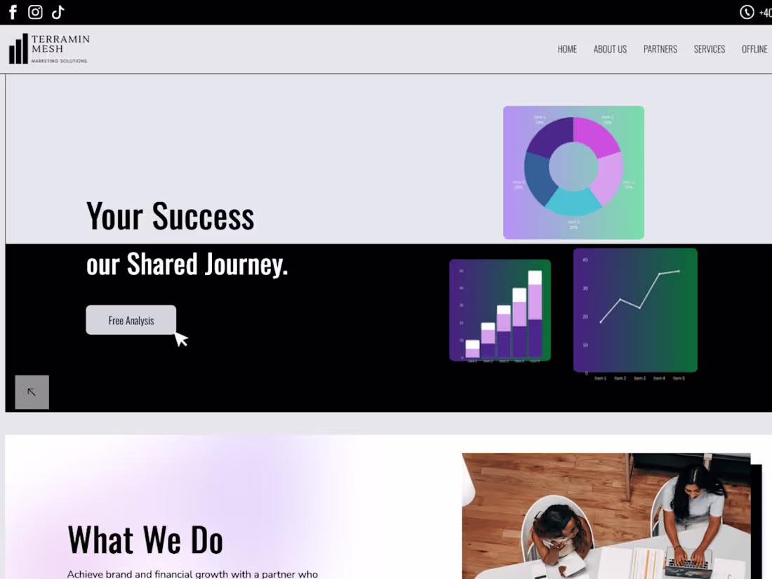 Cover image for TM Marketing