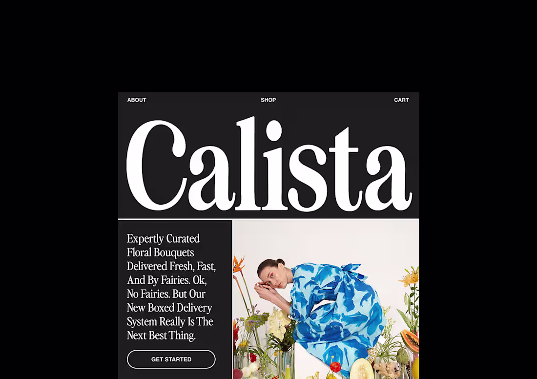 Cover image for Calista - Brand identity design, Packaging, Web :: Behance