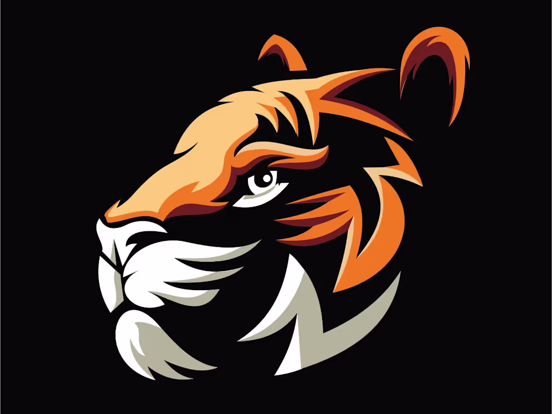 Cover image for GRAPHIC DESIGNER