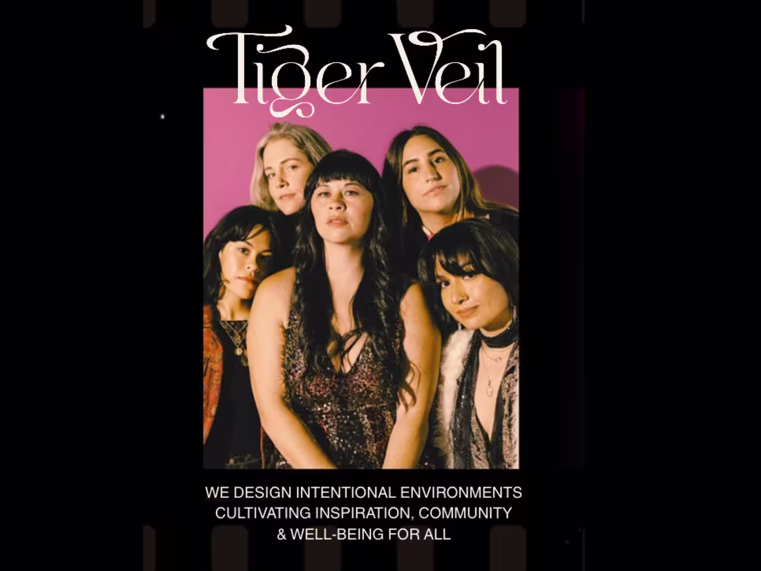Cover image for Tiger Veil