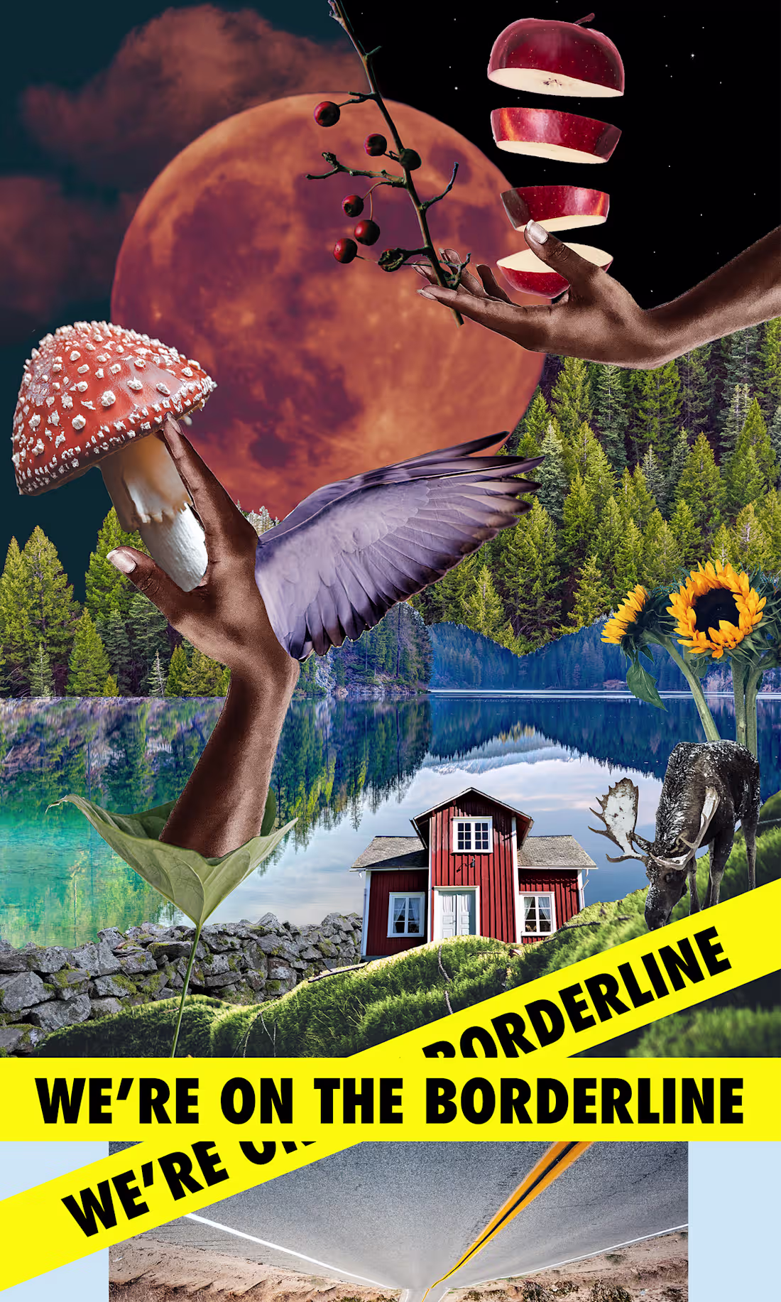 Cover image for PARALELLA - Animated Music Video