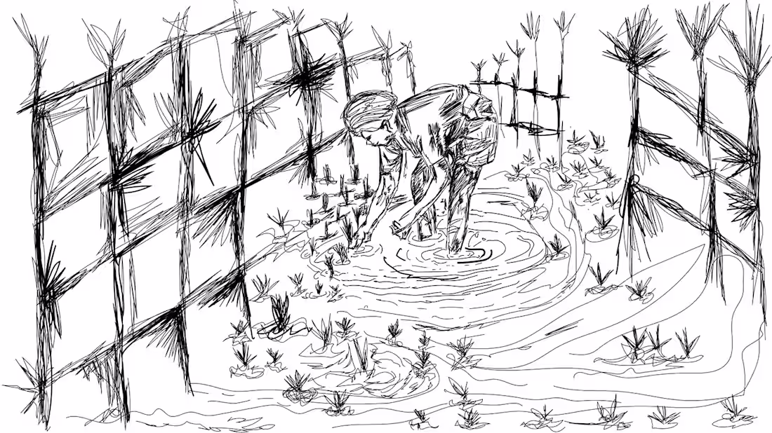 Cover image for Sketches and Illustrations :: Behance