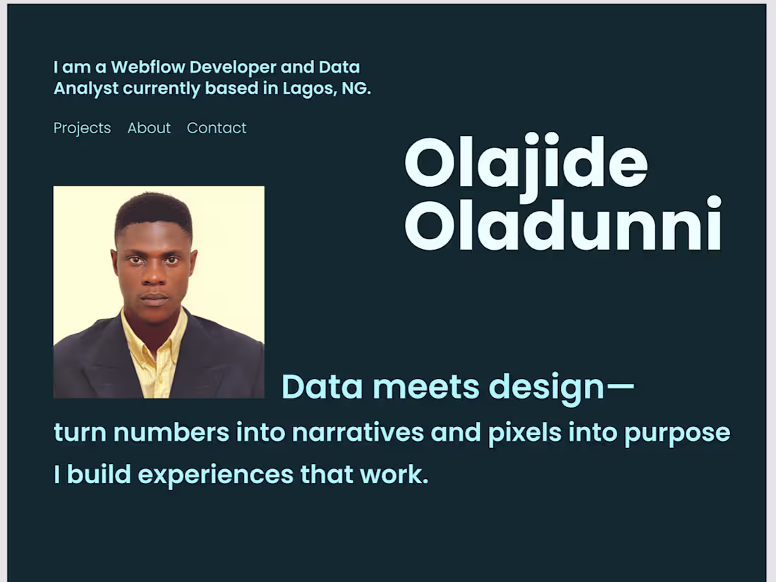 Cover image for Portfolio